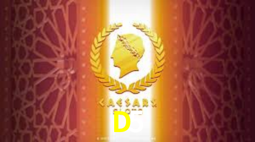 Premium Interface D5